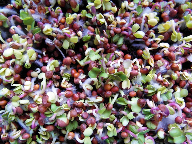 Arabanın Tabanı Neden İslanır?