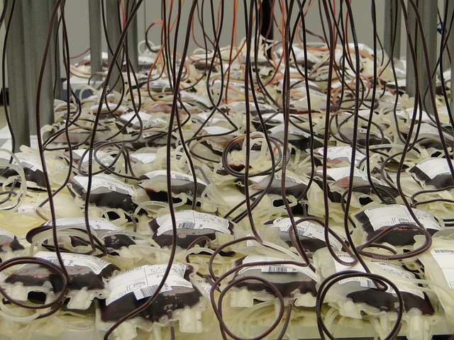 Bakla Kan Şekerini Düşürür Mü?