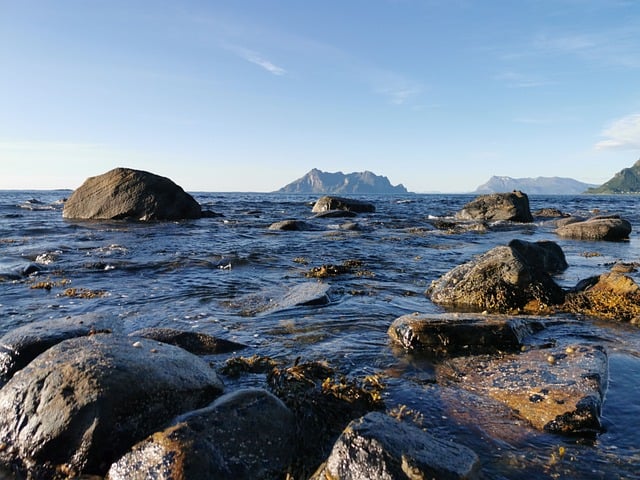 Baklavaya Tuzlu Tereyağı Konur Mu? Baklavaya Tuzlu Tereyağı Konur Mu?