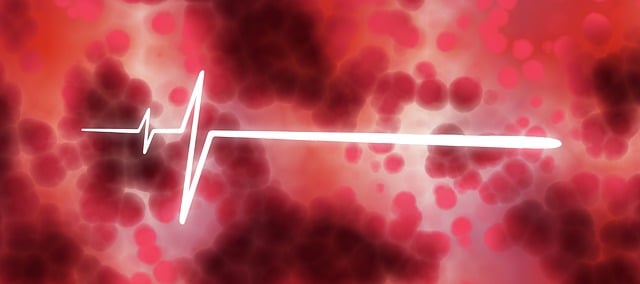 Bamya Kan Şekerini Yükseltir Mi?