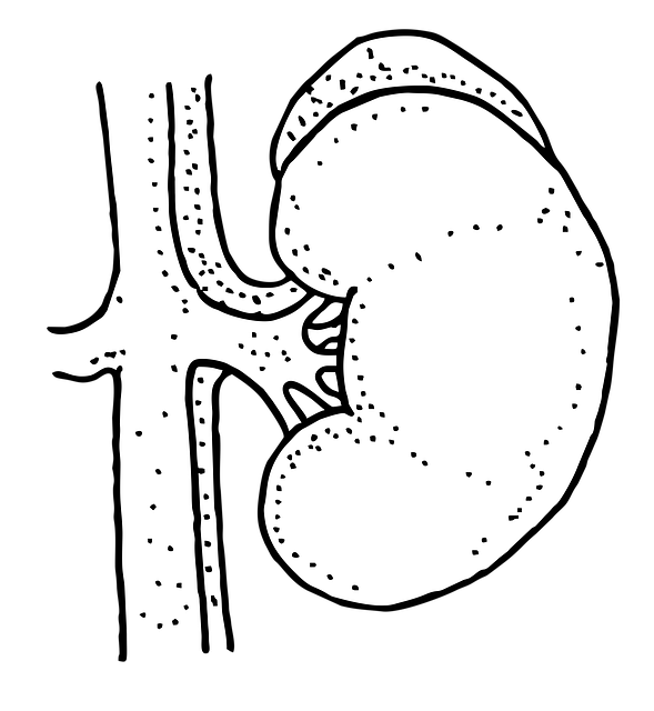 Böbrek Taşı Düşürürken Ağrıya Ne İyi Gelir?