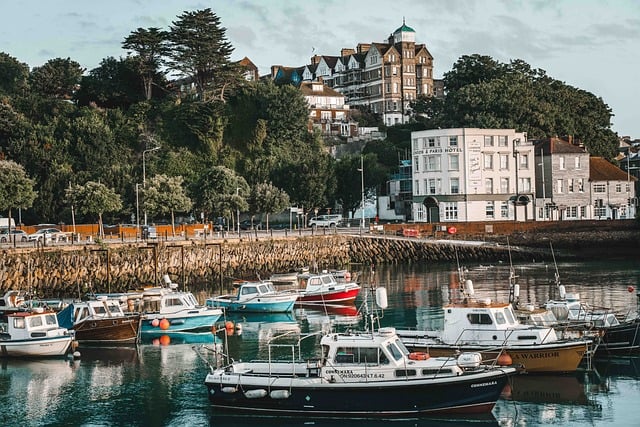 Böbrek Taşı Sistit Yapar Mı?