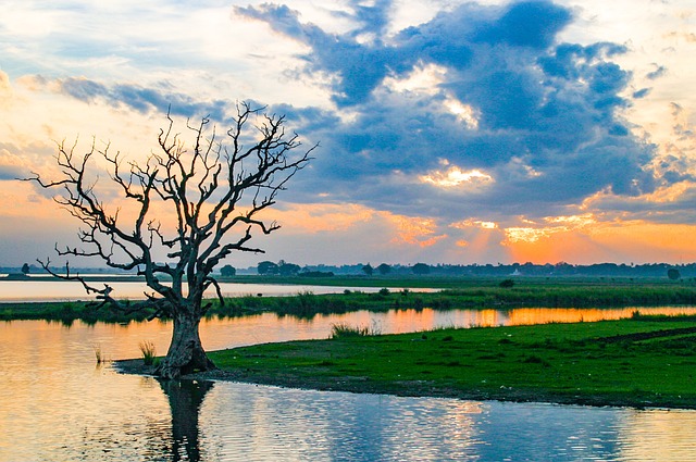 Burma Kadayıf Hamuru Nasıl Yapılır?