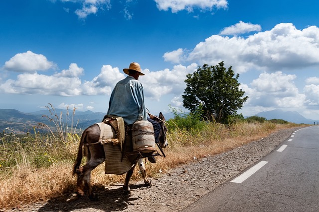 Cezayir Yüzölçümü Nedir?