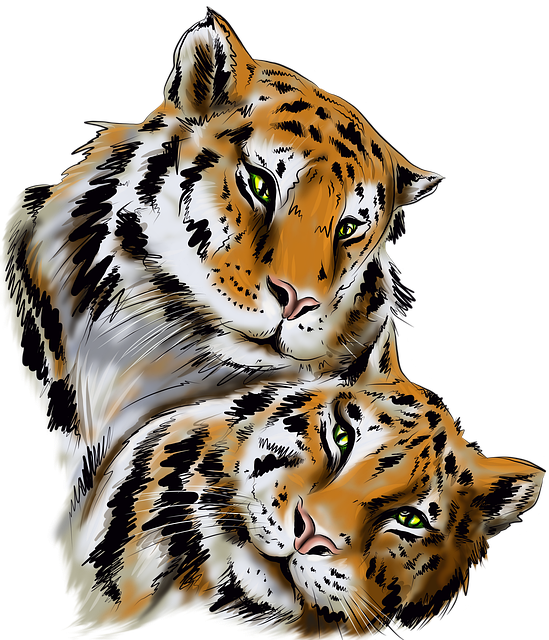 Çin Burcu Hesaplama Nasıl Yapılır?