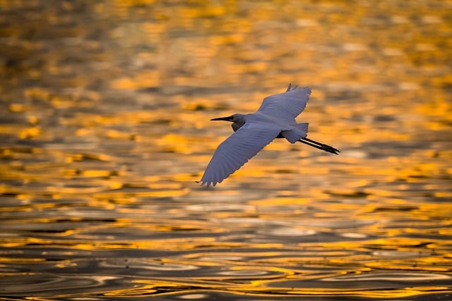 Emeklilik Nedeniyle İş Akdinin İşveren Tarafından Feshi Nasıl Yapılır?