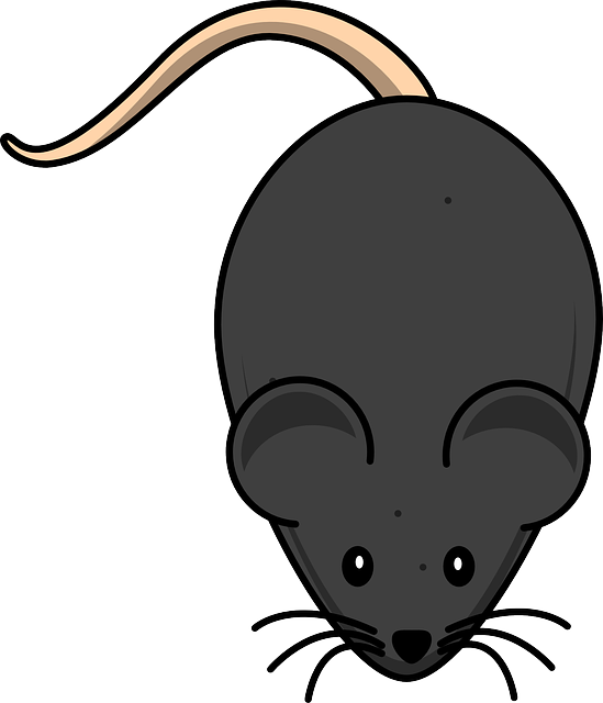 Fareler Doğurur Mu?