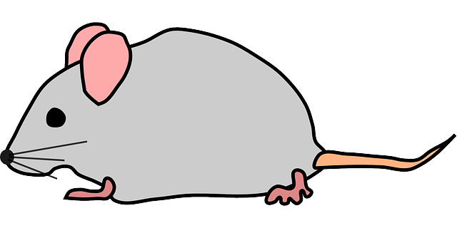 Fareler İşıktan Kaçar Mı?