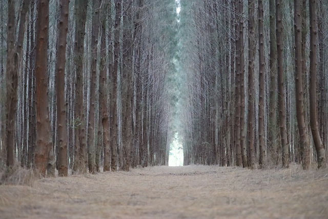Fındıklı Basma Kadayıf Nasıl Yapılır?