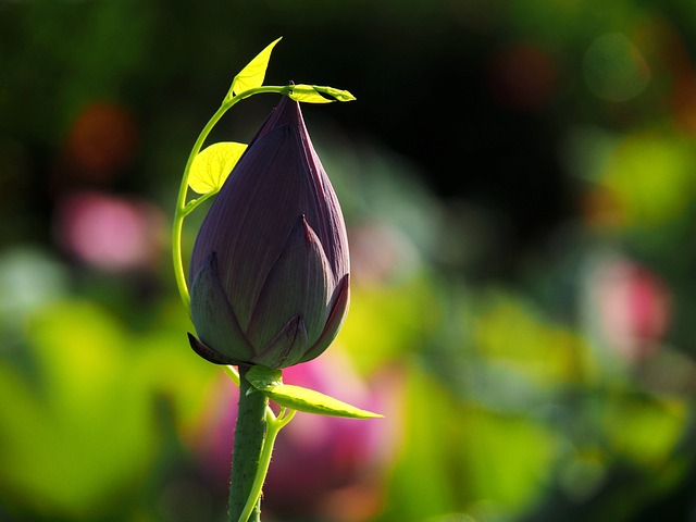 İdrar Yolu Enfeksiyonu Siğil Yapar Mı?