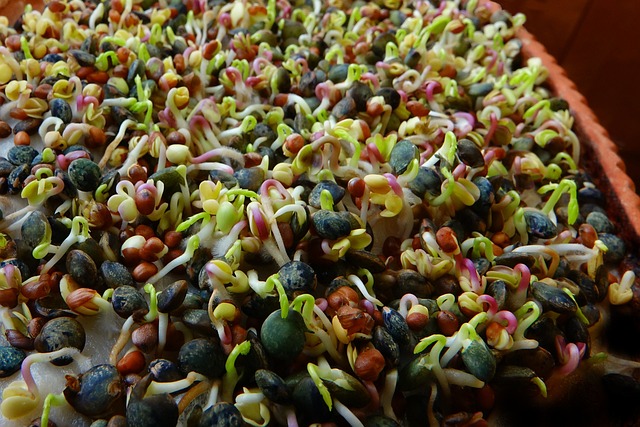 Kadayıf Dolması Besin Değeri Nedir?