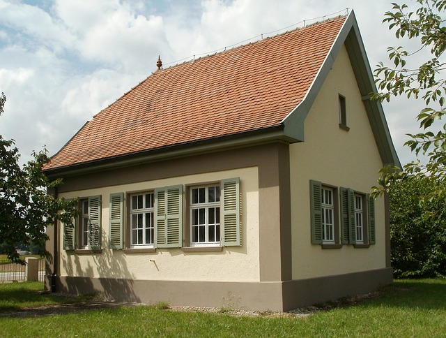 Karnabahar İdrar Söktürür Mü?