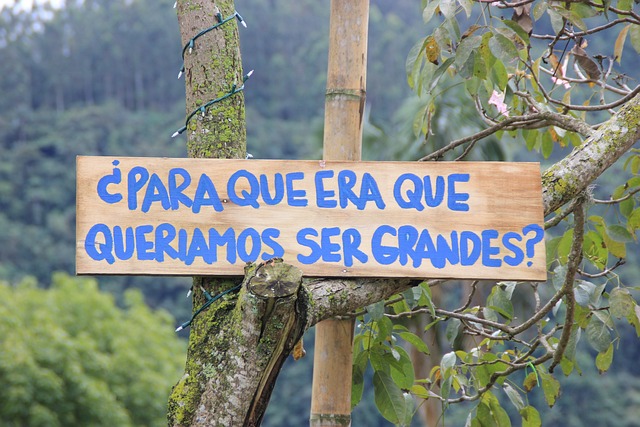 Karnabahar Neden Acı Olur?