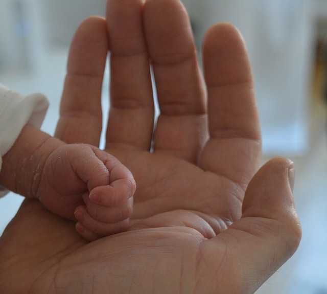 Kısmetse Olur Sunucusu Öykü Serter Ne Kadar Kazanıyor?