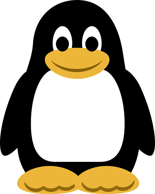 Linux Klasör Oluşturma Nasıl Yapılır?