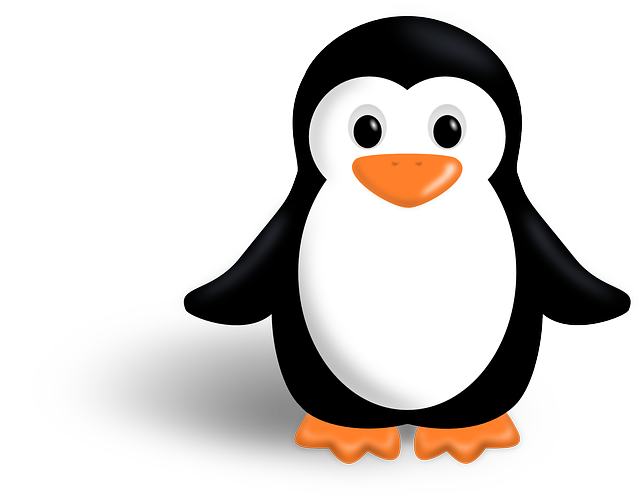 Linux Şifre Kaldırma Nasıl Yapılır?
