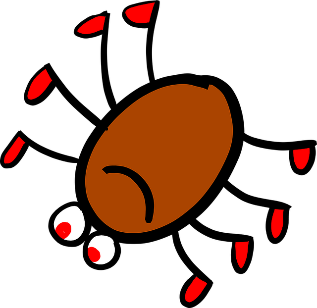 Lyme Hastalığı Nedir?