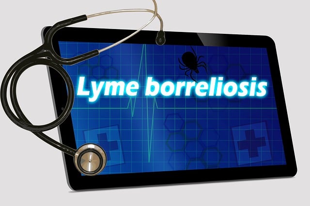 Madecassol Kızarıklığa İyi Gelir Mi?