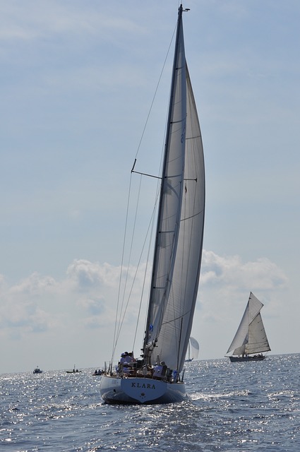 Makale Yazarken Kopyala Yapıştır Yapılır Mı?
