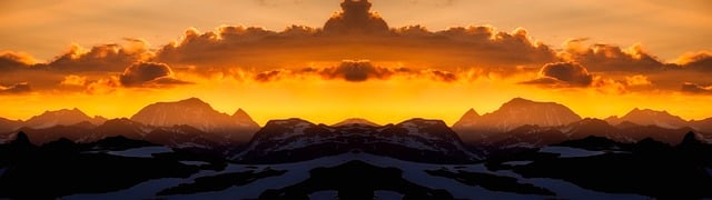 Makale Yazarken Kullanılan Araştırma Yöntemleri Nelerdir?