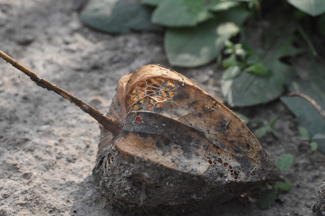 Modemin Kaç Ghz Olduğunu Nasıl Anlarım?