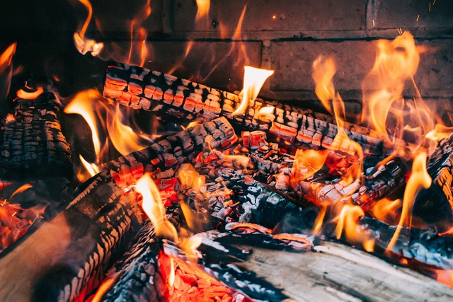 Odun Kömürü Zehirler Mi?