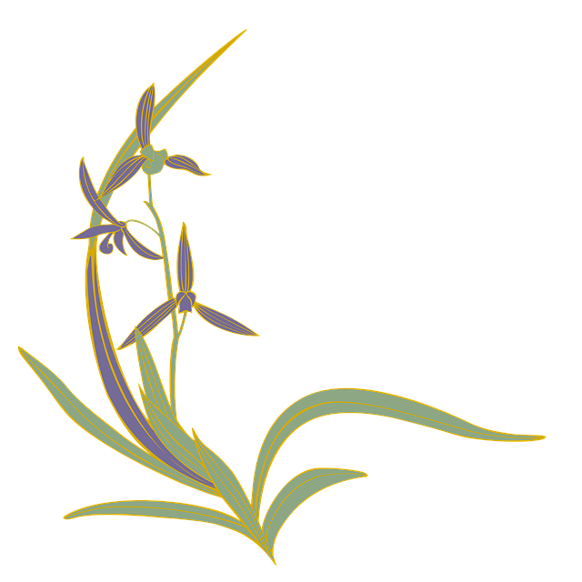 Orkide Tomurcukları Açmadan Neden Kurur?