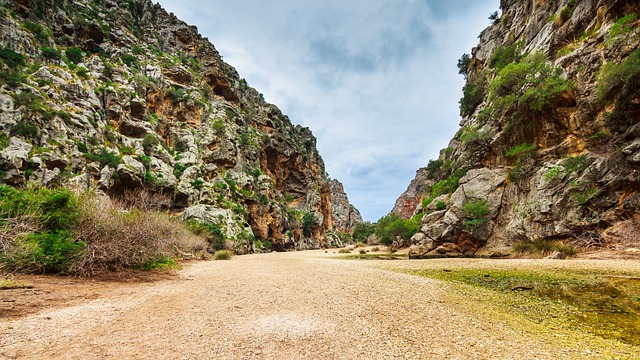 Torrent Dosyaları Nereye İndiriyor?