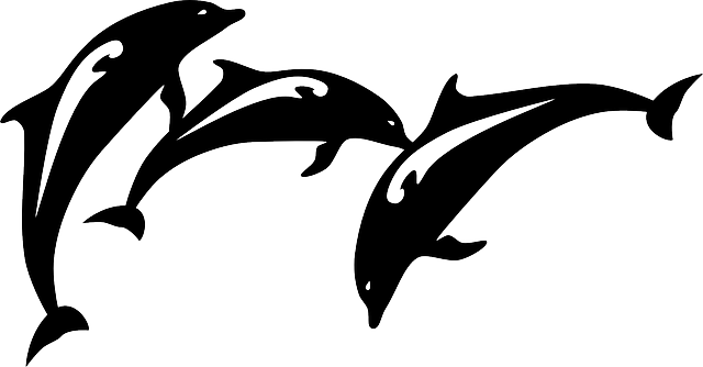 Yunus Polis Trafik Cezası Yazabilir Mi?