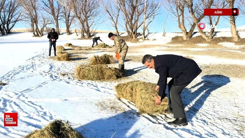 agrili besicilerin zorlu kis mesai Cywbtm4J