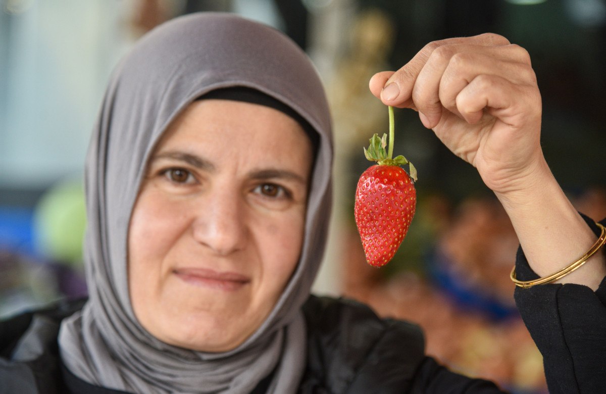 antalyada cilek kilosu 400 liradan tezgahlarda 0 KCV1kb5c