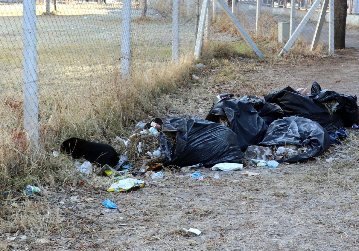 kayseride kopegi severken saldiriya ugradi 2