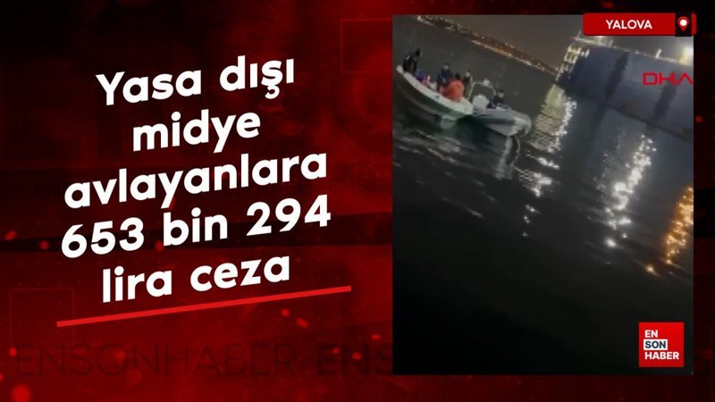 yalovada yasa disi midye avlayanlara 653 bin 294 lira ceza c6fhEBDf