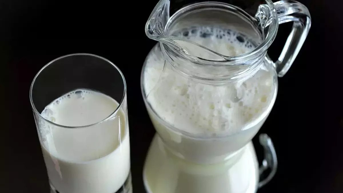 bakanlik en fazla merak edilenleri yanitladi baligin yaninda yogurt yenir mi 0 GYveZi5s