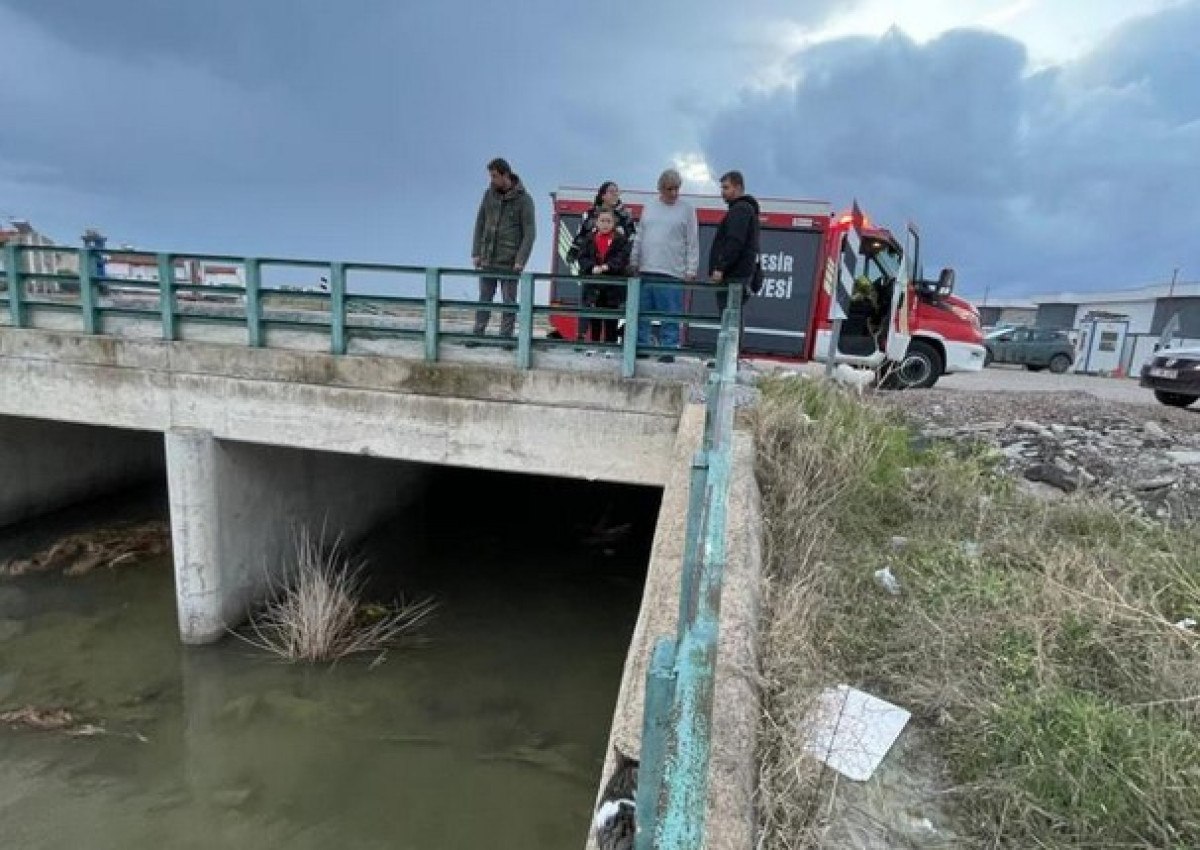 balikesirde kopru altinda mahsur kalan kedi kurtarildi 2 kdXaOi7d