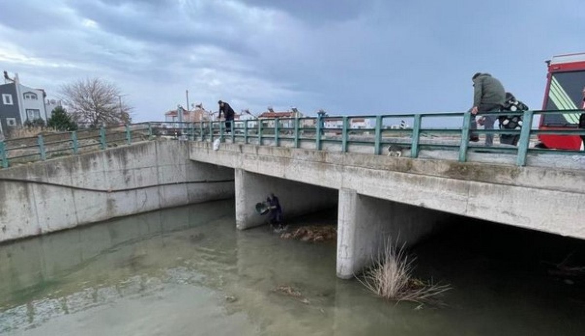 balikesirde kopru altinda mahsur kalan kedi kurtarildi 3 FJznSRvW