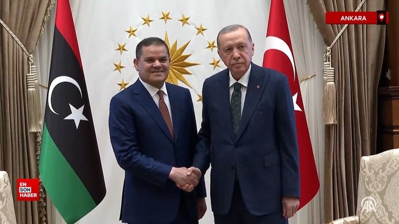 cumhurbaskani erdogan libya basbakani dibeybe ile gorustu