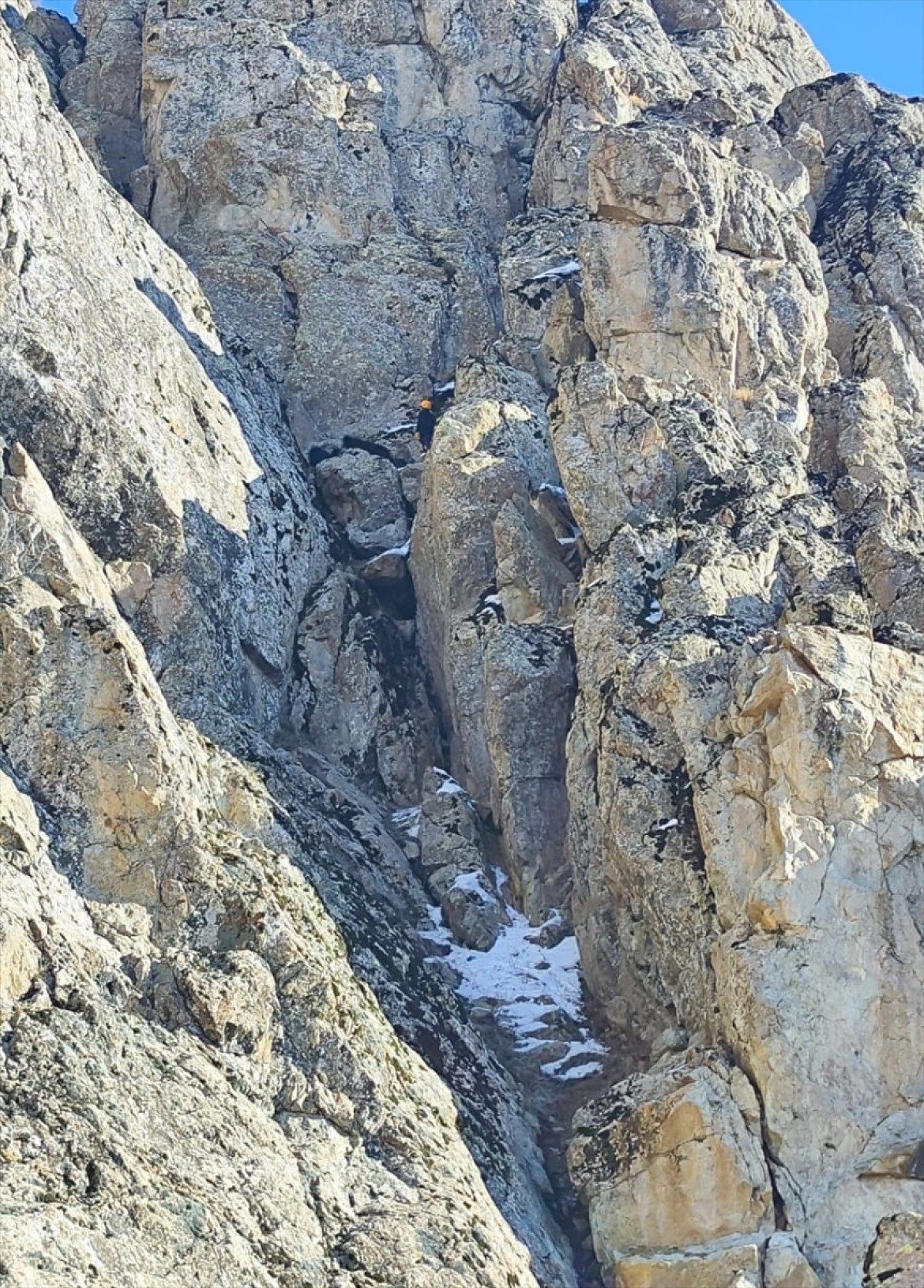 Hakkari'de dağda mahsur kalan keçiler kurtarıldı 1 hakkaride dagda mahsur kalan keciler kurtarildi 0 wV4YDqSb