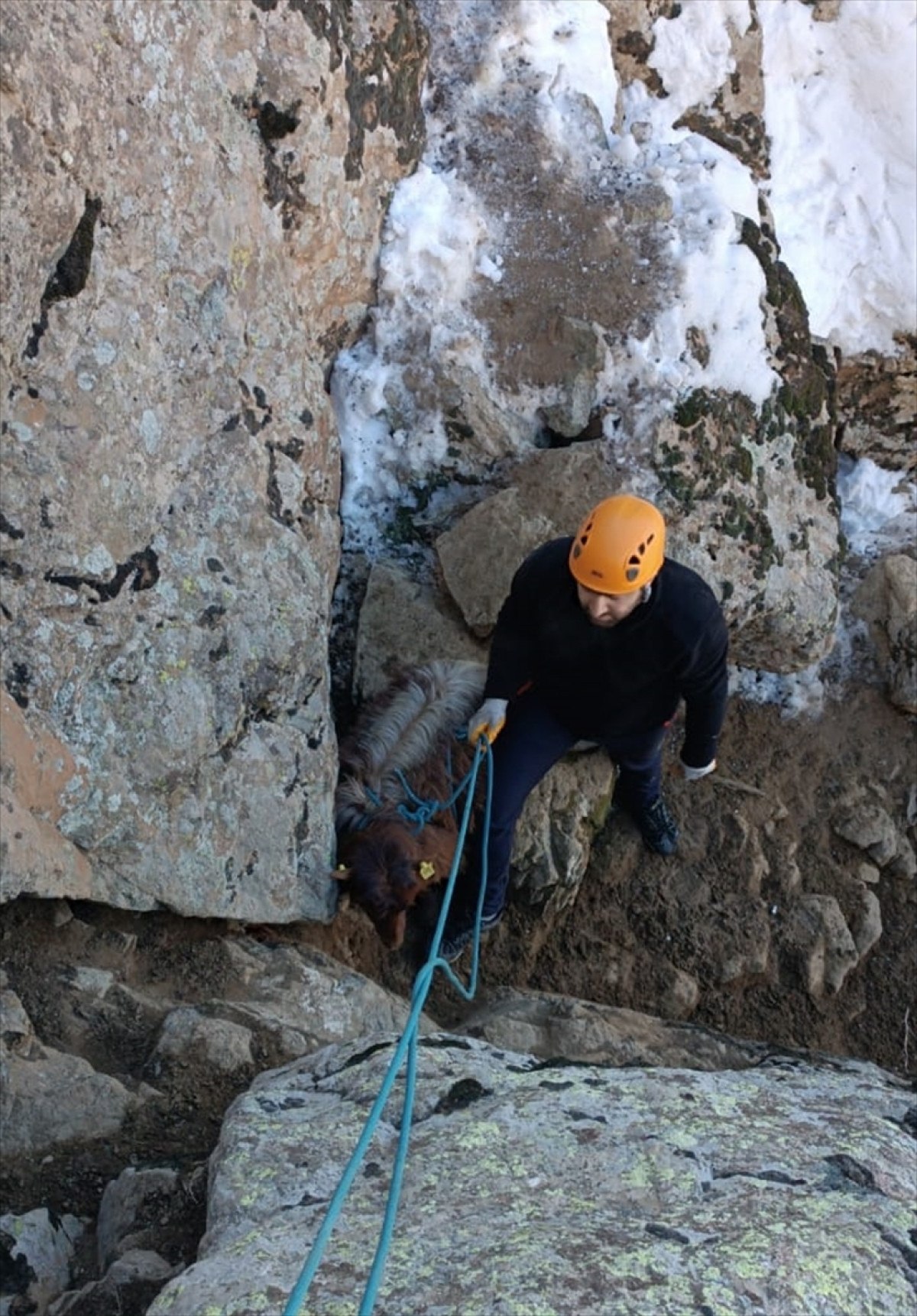 Hakkari'de dağda mahsur kalan keçiler kurtarıldı 2 hakkaride dagda mahsur kalan keciler kurtarildi 1 2LenWSQn