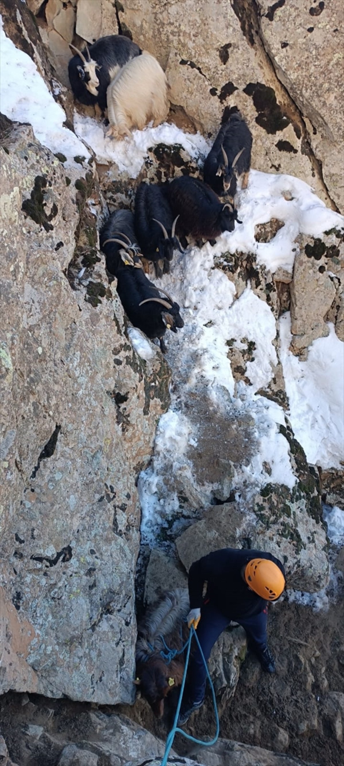 hakkaride dagda mahsur kalan keciler kurtarildi 2 2AODNRBR