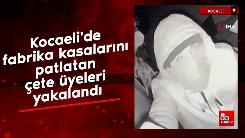 kocaelide fabrika kasalarini patlatan cete uyeleri yakalandi HY4ZVb44