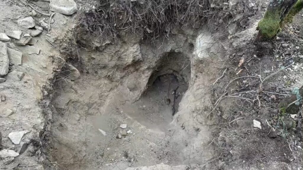 sakaryada define avcilari fotokapana yakalandi Pw7PGlX1