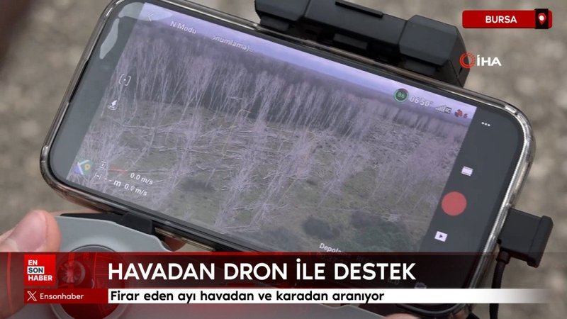 firar eden ayi havadan ve karadan araniyor E44fRJBm