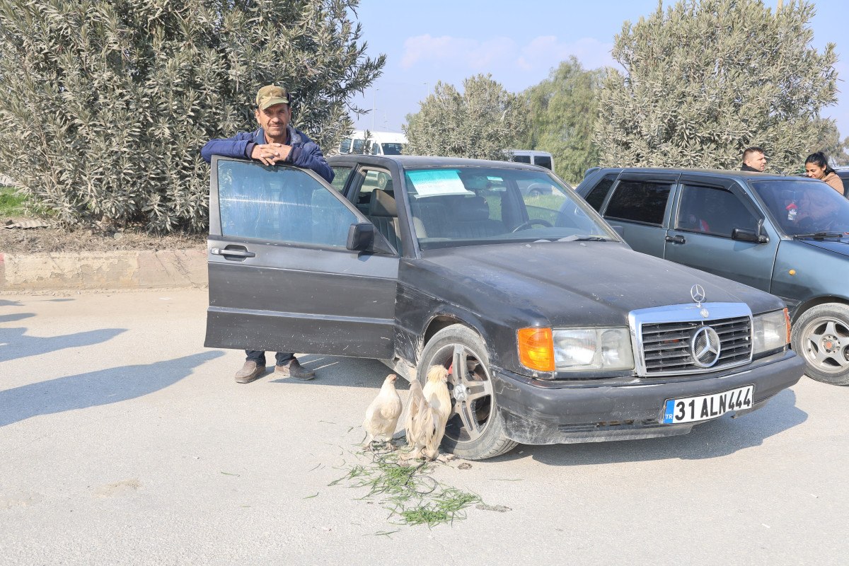 hatayda hem araba hem de tavuk satiyor 1 RiUMPtFm