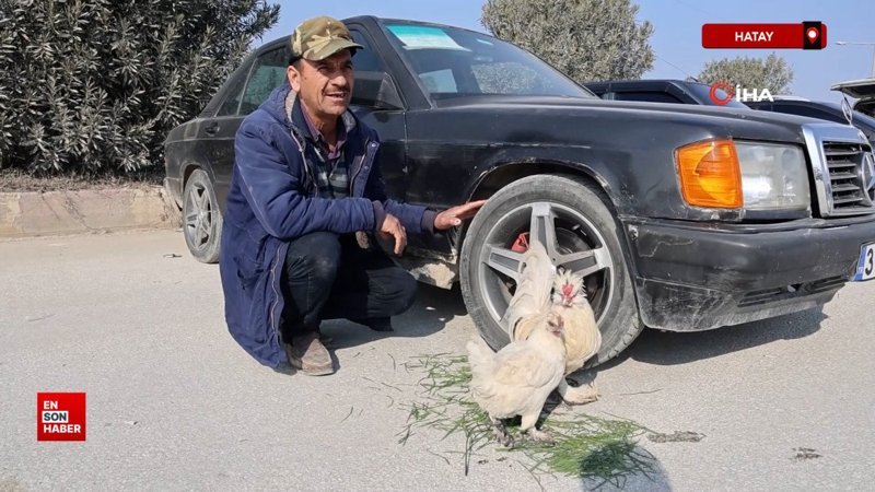 hatayda horozuyla tavugunu arabasiyla birlikte satisa cikardi