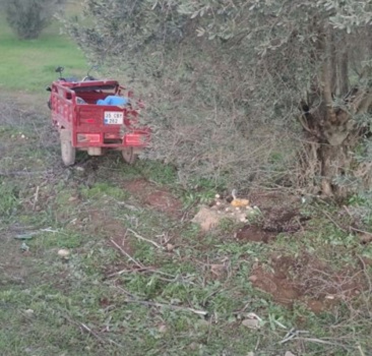 izmirde 3 tekerlekli motosiklet zeytin agacina carpti 2 kardes oldu 0 L4zZB1v3