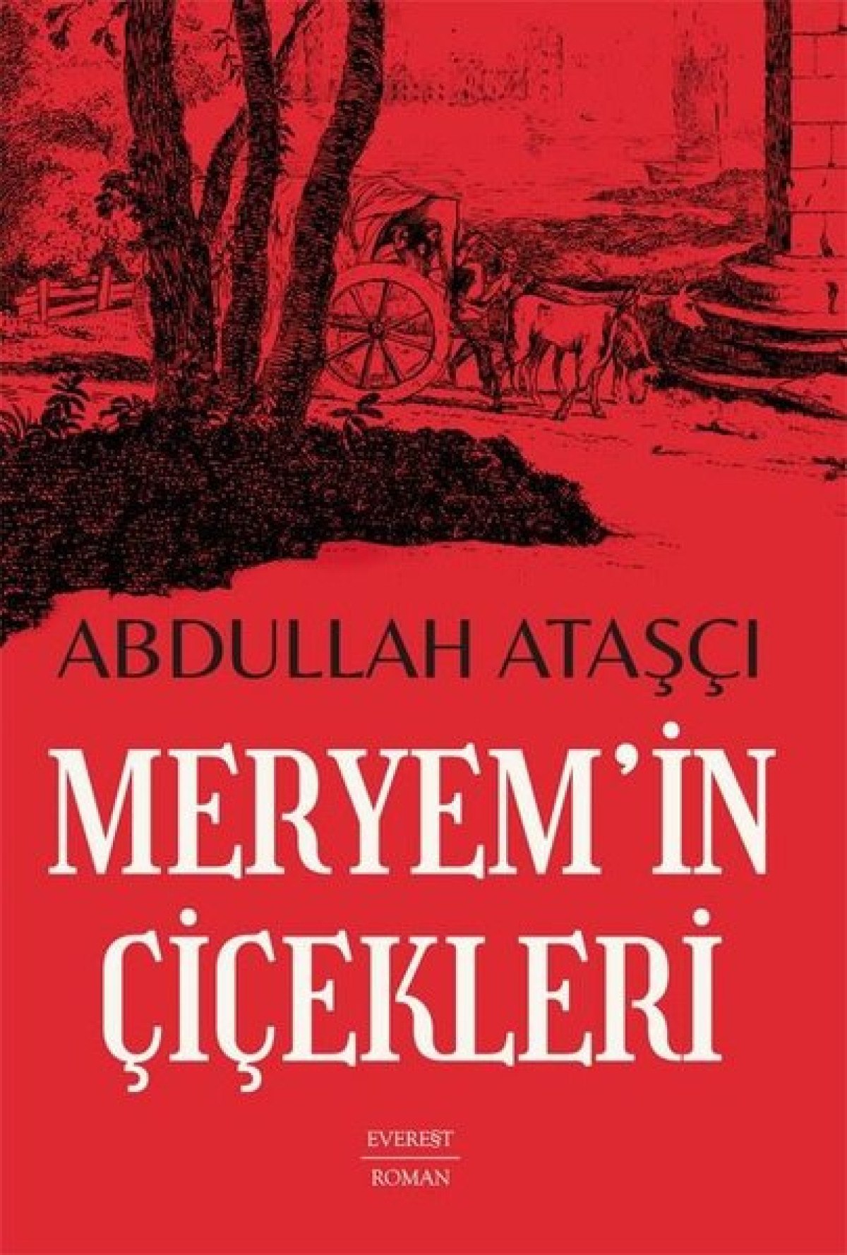 okullar tatile girdi ogrencilere ozel kitap onerileri 8 75dy4ekk