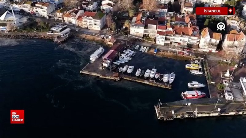 adalardaki musilaj tehdidi goruntulendi hwPviGNs