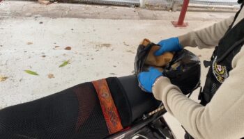 adanada uyusturuculari ekmek arasina saklayan torbacidan ilginc savunma kRcSwU6u