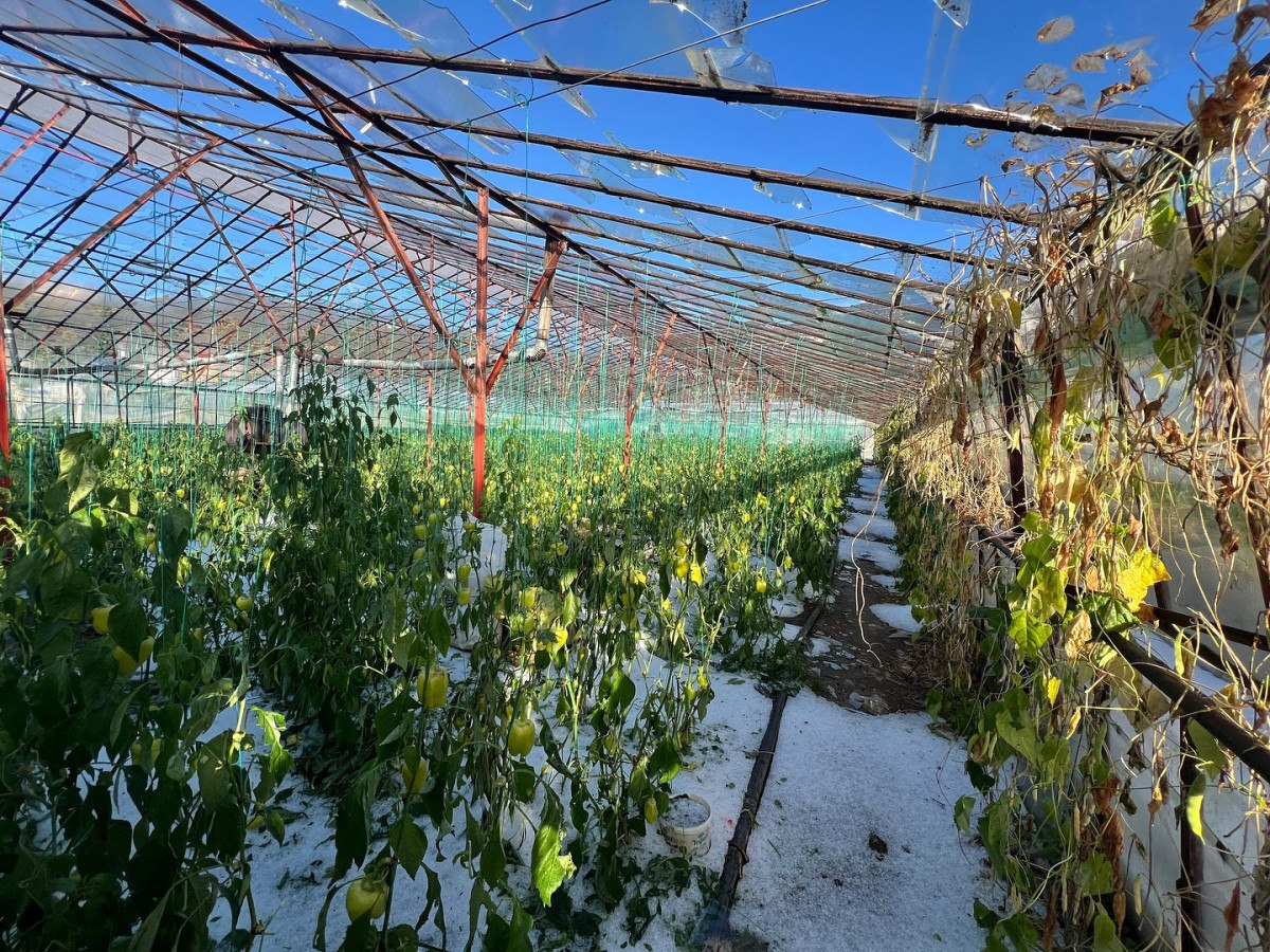 antalyayi saganak vurdu 0 Ei9FsKbH